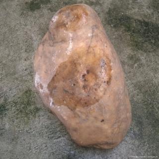 刚收到特重带皮的和田玉原石一个